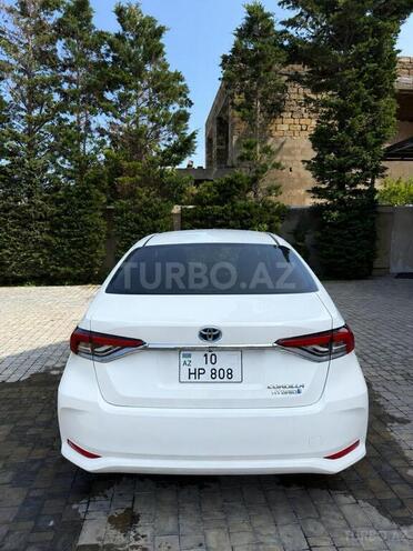Toyota Corolla-10