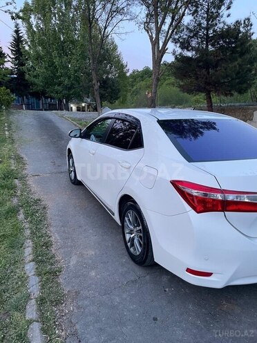 Toyota Corolla-4