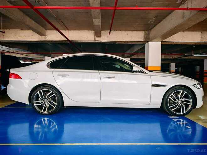 Jaguar XF-4