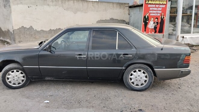 Mercedes 250 D-3
