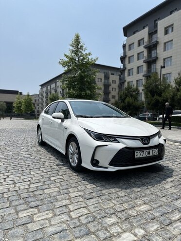Toyota Corolla-4