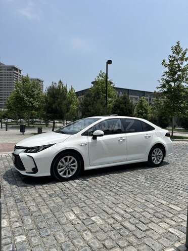 Toyota Corolla-7