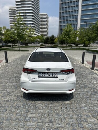 Toyota Corolla-6