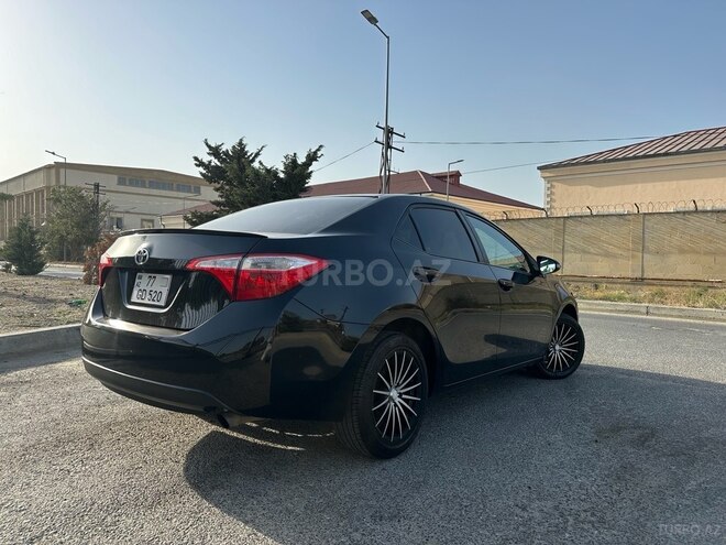 Toyota Corolla-6