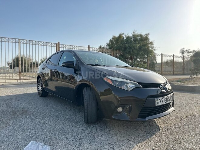 Toyota Corolla-13