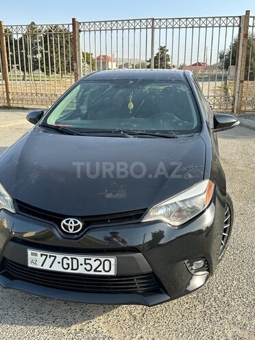 Toyota Corolla-8