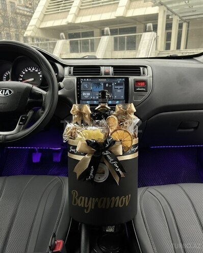 Kia Rio-13
