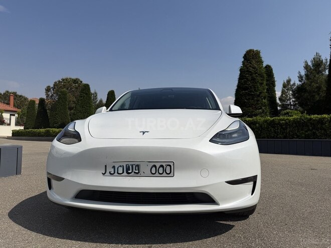 Tesla Model Y-3