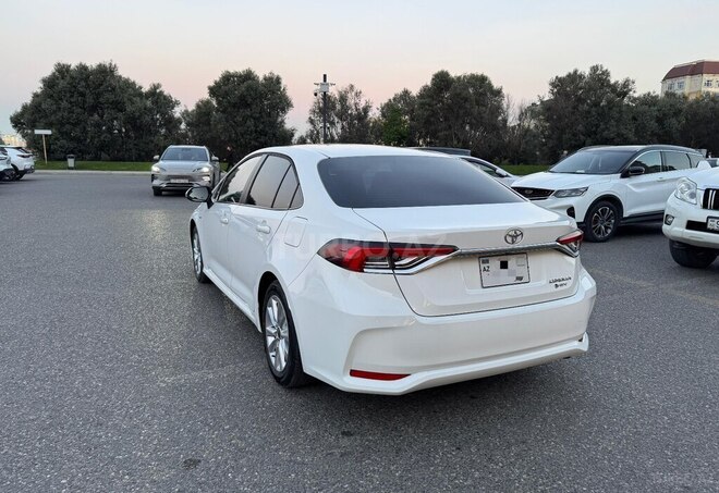 Toyota Corolla-6