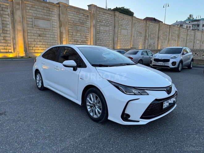 Toyota Corolla-2