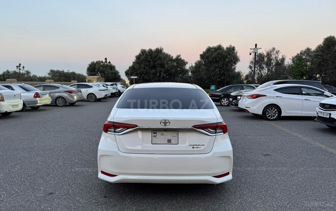 Toyota Corolla-5