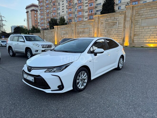 Toyota Corolla-8