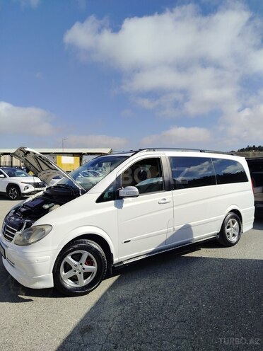 Mercedes Viano-2
