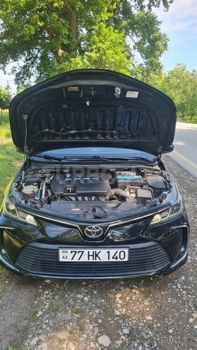 Toyota Corolla-13