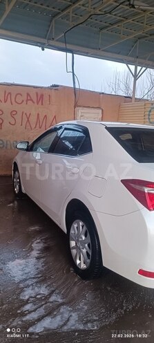 Toyota Corolla-6