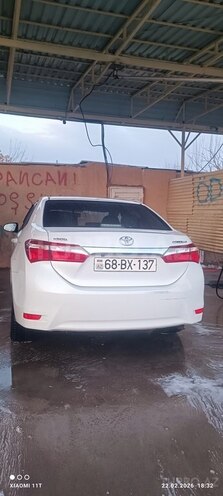 Toyota Corolla-7