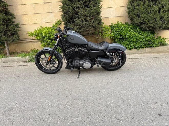 Harley-Davidson XL883N Sportster Iron 883-6