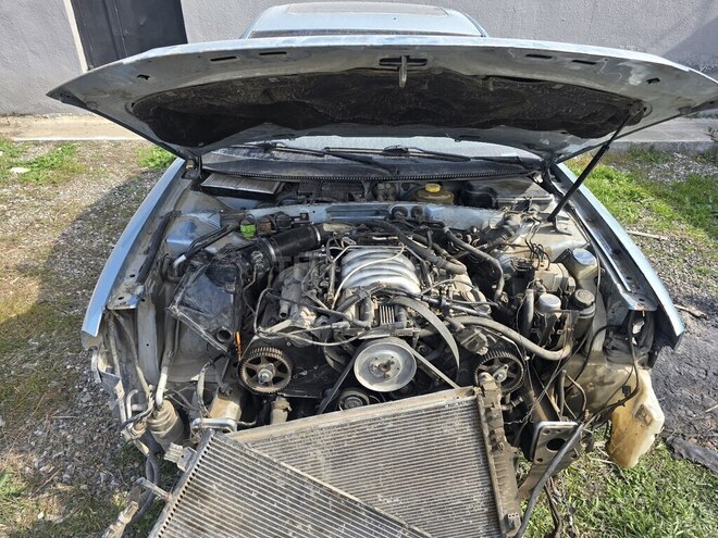 Volkswagen Passat-6