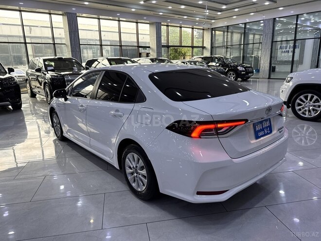 Toyota Corolla-6
