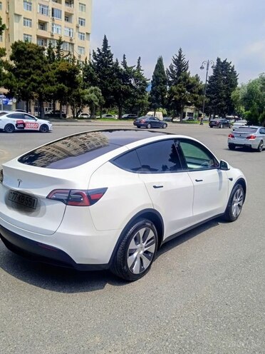 Tesla Model Y-3