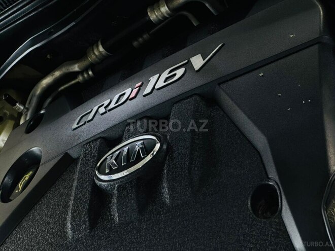 Kia Rio-14