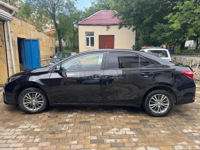 Toyota Corolla-6