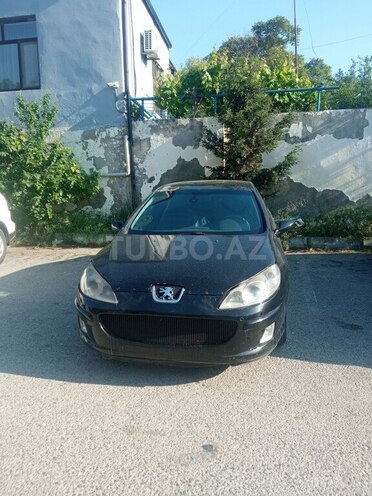 Peugeot 407-1