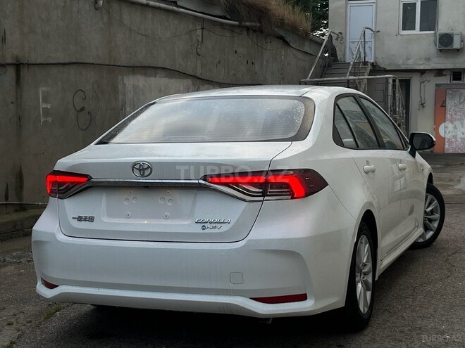 Toyota Corolla-12