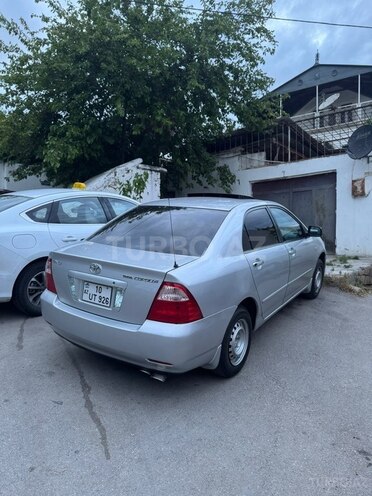 Toyota Corolla-6