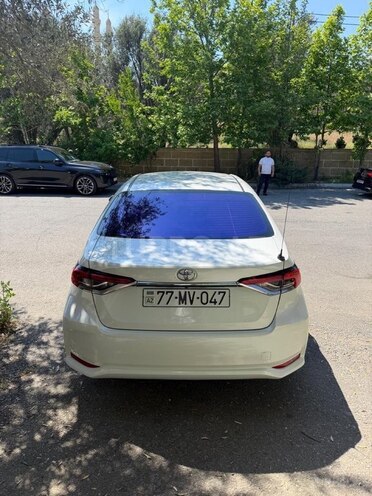 Toyota Corolla-10