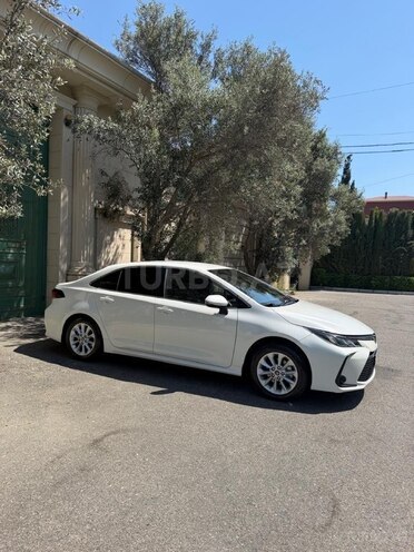 Toyota Corolla-6