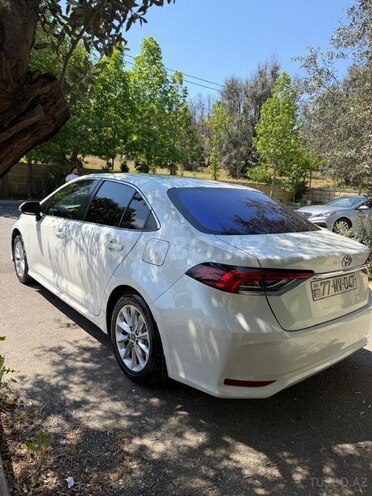 Toyota Corolla-7