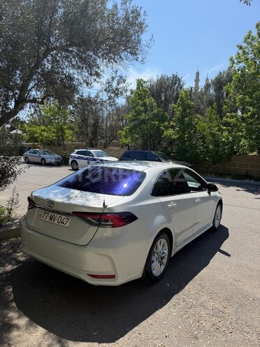 Toyota Corolla-8