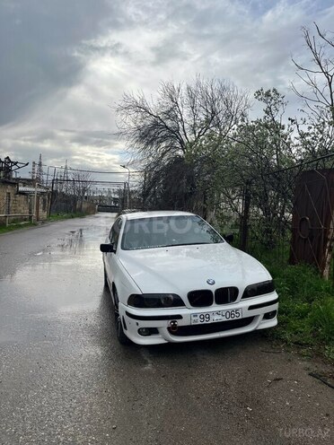 BMW 523-1