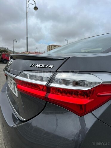 Toyota Corolla-7