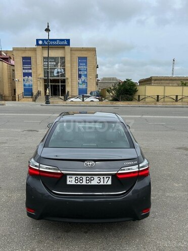 Toyota Corolla-4
