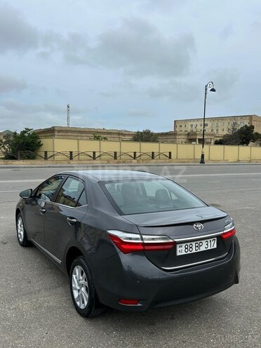 Toyota Corolla-6