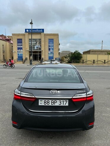 Toyota Corolla-8