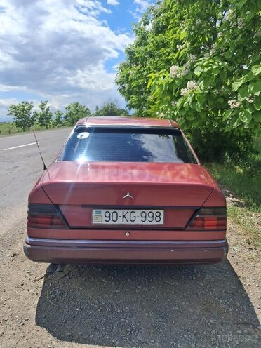Mercedes 250 D-2