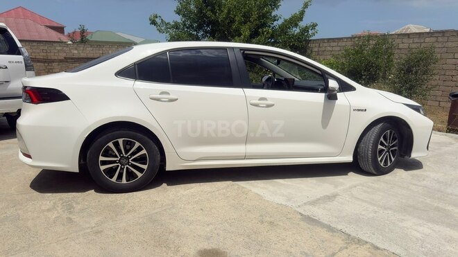 Toyota Corolla-5