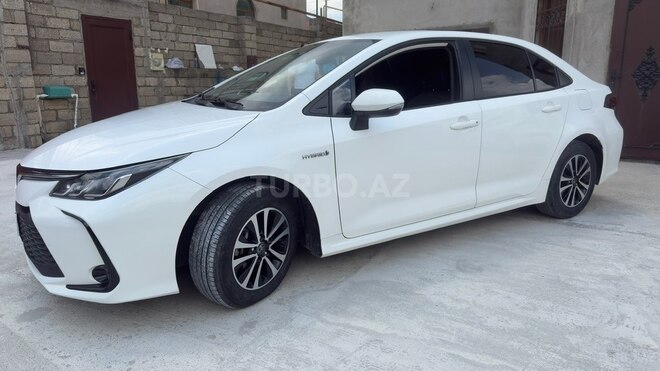 Toyota Corolla-8