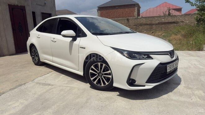 Toyota Corolla-7
