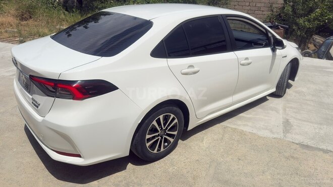 Toyota Corolla-9