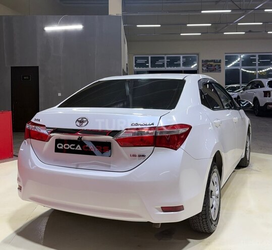 Toyota Corolla-8