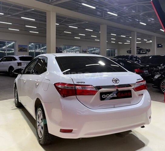 Toyota Corolla-7