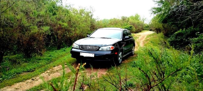 Nissan Maxima-1