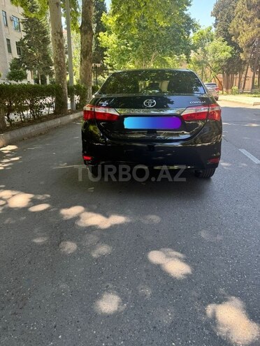 Toyota Corolla-2