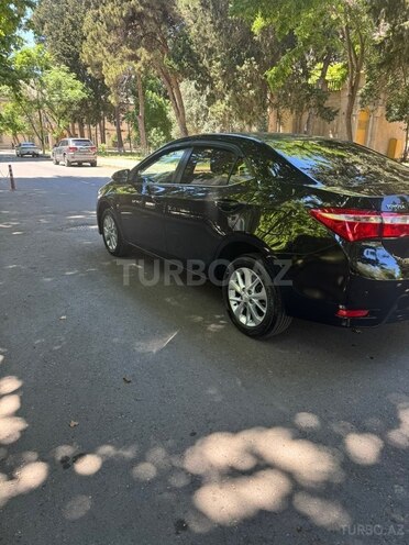 Toyota Corolla-4