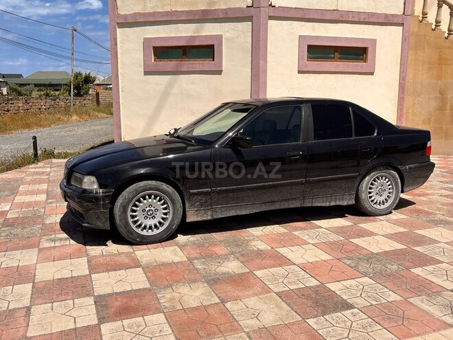 BMW 316-9