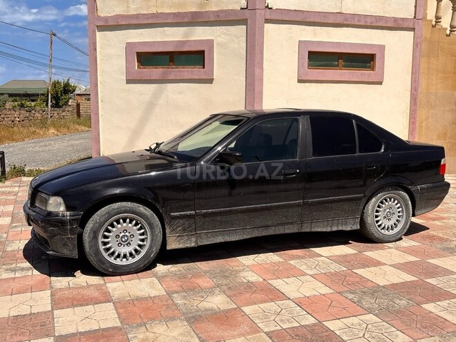 BMW 316-6
